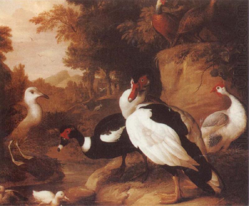 Wild Ducks, Jakob Bogdani